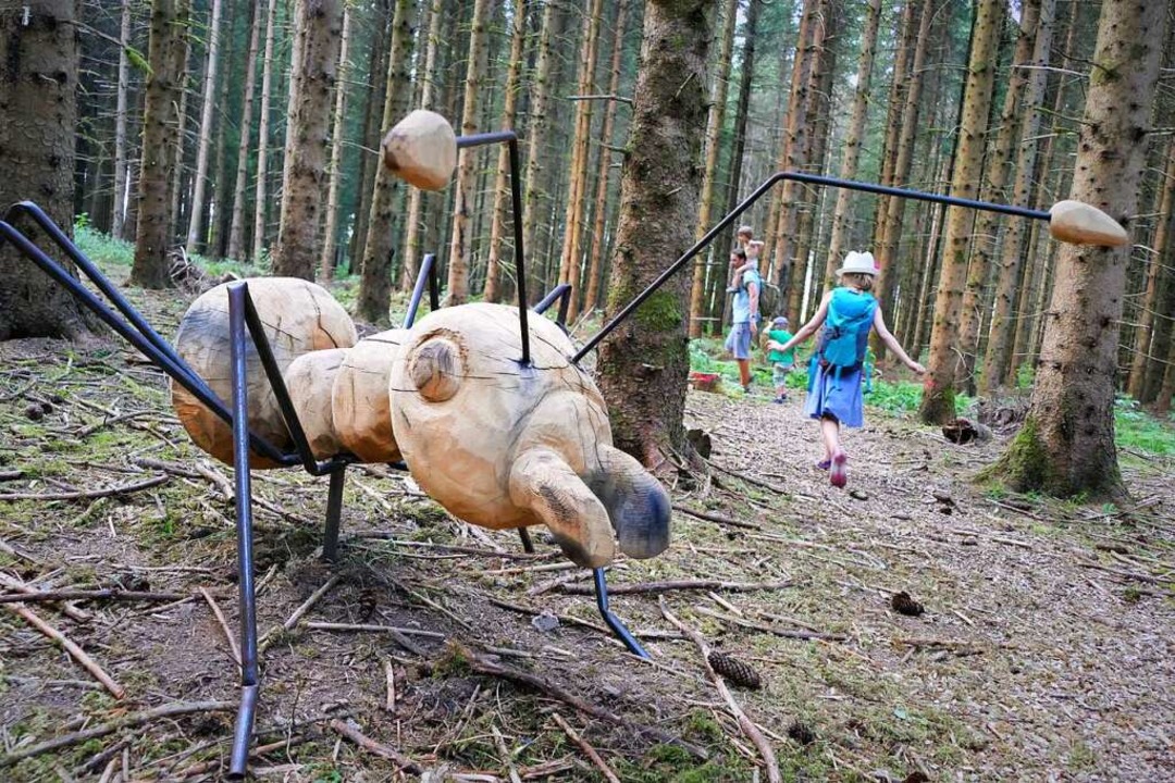 Am Ende der Wanderstrecke beginnt ein Ameisenpfad &#8211; er ist unbersehbar.  | Foto: Silke Kohlmann