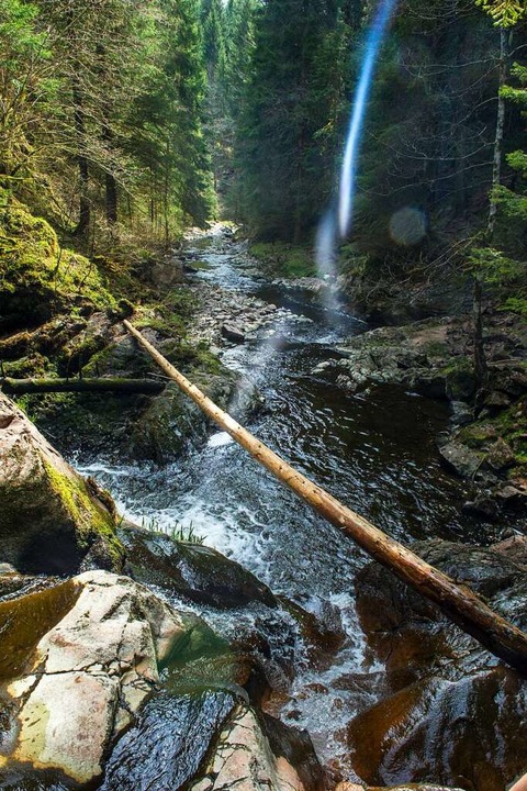 Entspannung und Natur pur &#8211; und ...nvasion einheimischer Touristen erlebt  | Foto: Andrea Schiffner