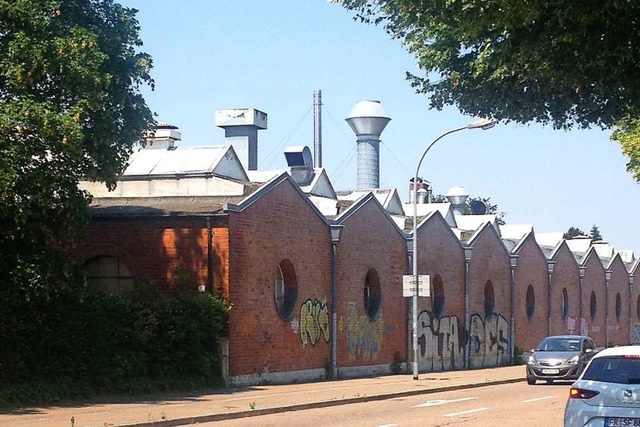 Aus fr die stadtbildprgende Fassade an der Moltkestrae.  | Foto: Renate von Heimburg