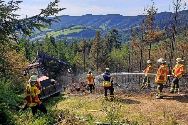 Dank des Wassers aus einem Lschteich ...rand bei Stegen erfolgreich bekmpfen.  | Foto: Feuerwehr Stegen