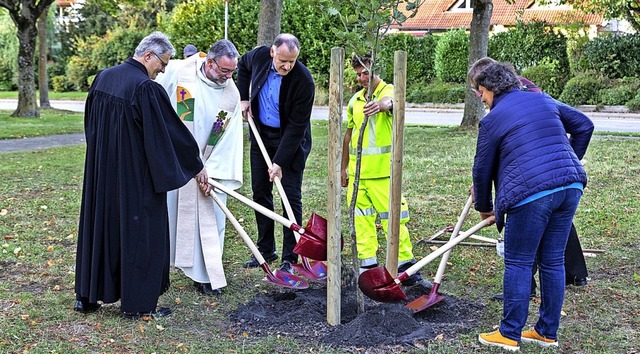 Hier wird auf der Wiese beim Ehrenkirc...in neuer Baum der Hoffnung gepflanzt.   | Foto: Hubert Gemmert