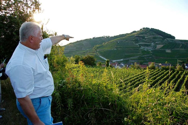 Der Achkarrener Schlossberg  | Foto: Agnes Pohrt