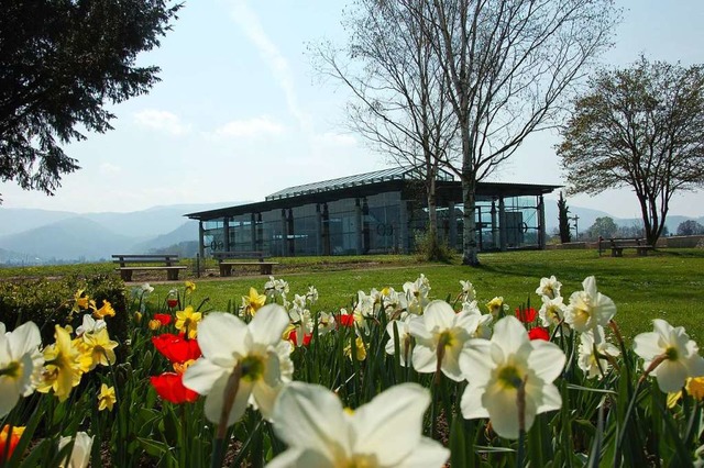 Die Reste der Villa Urbana in Heitersheim  sind unter einem Glasbau geschtzt.  | Foto: Markus Donner