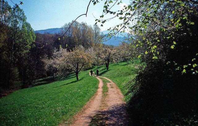 Nicht nur Ren Schickele  hat von der ...um den Kurort Badenweiler geschwrmt.   | Foto: Peter Grth