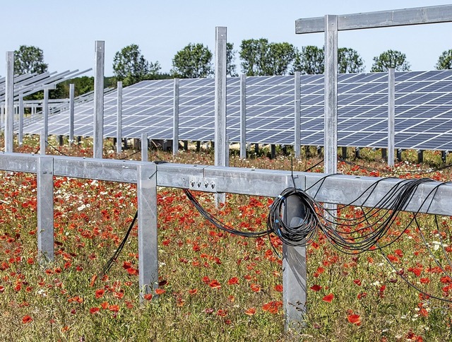 Ein Solarpark schliet Artenvielfalt nicht aus.   | Foto: Paul Langrock