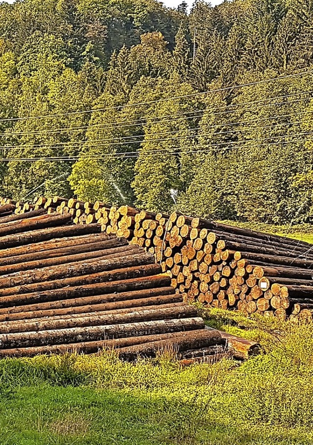 Das Holzlager in Tegernau hat wiederholt fr Diskussionen gesorgt.  | Foto: Gerald Nill