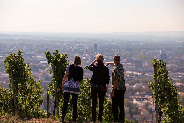 Wandern mit Stadtblick:  Durch die Reben geht es oberhalb von Heilbronn.  | Foto: Heilbronn Tourismus