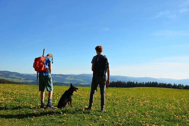 Bei St. Peter gibt es Aussichten wie aus dem Schwarzwaldbilderbuch