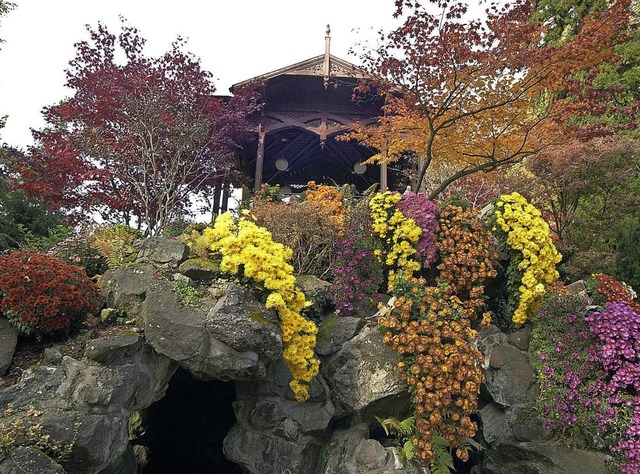 Der Pavillon im Stadtpark ist schon mit Chrysanthemen geschmckt.   | Foto: Stadt Lahr