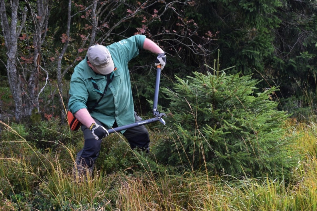 Beim Landschaftspflegetag in Frhnd k...n und Helfer mitanpacken (Symbolfoto).  | Foto: Friederike Scharfe (Nationalpark Schwarzwald)