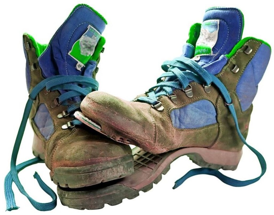   | Foto: fotolia.com/mweichse