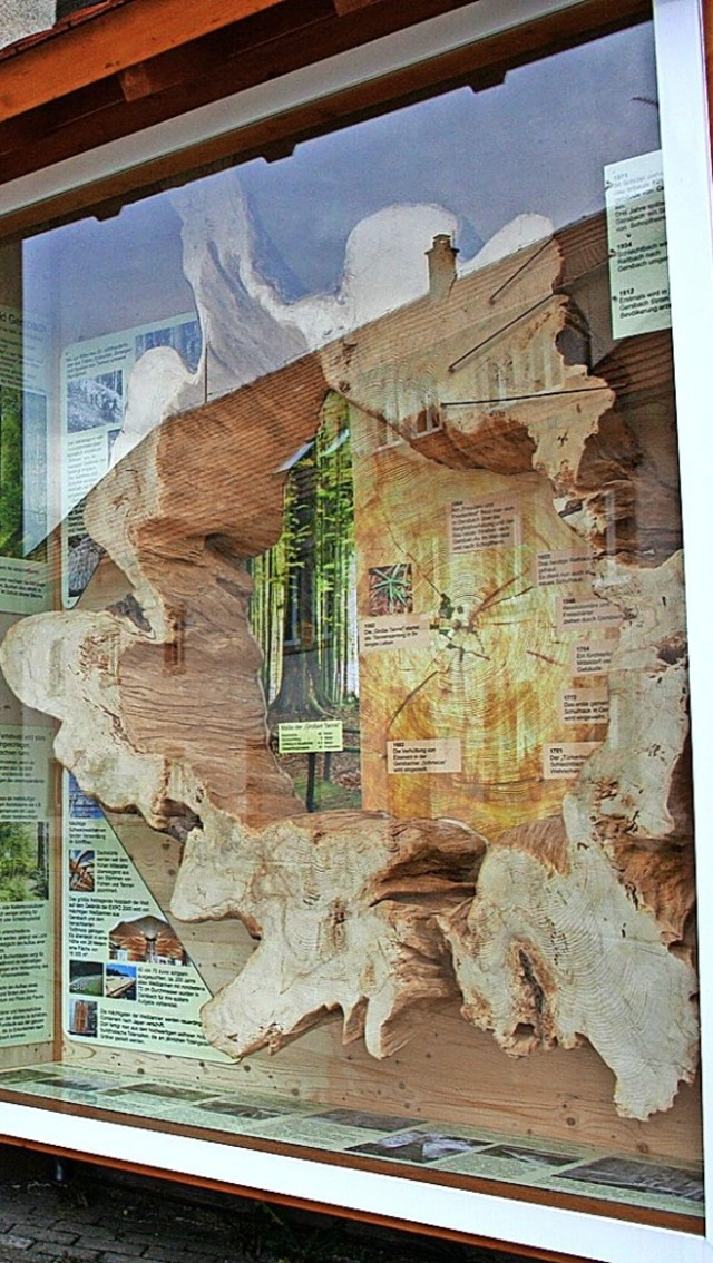 Der Tannenring mit Informationen beim Waldglas-Museum soll beleuchtet werden.   | Foto: Sutter
