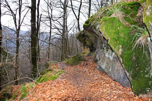 Vor 750 Jahren wurde die erste Wasserhebeanlage Mitteleuropas am Kandel gebaut