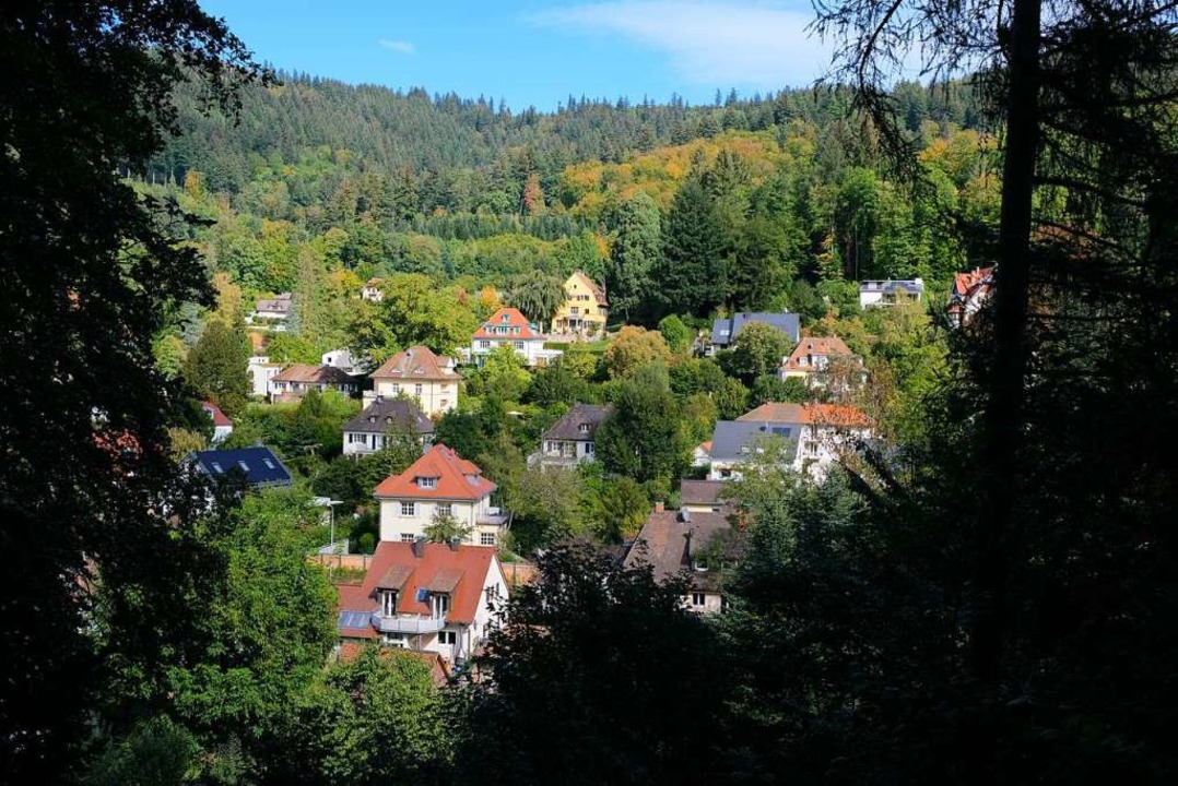 Im Freiburger Stadtwald kann man hervorragend Durchschnaufen.  | Foto: Maria-Xenia Hardt