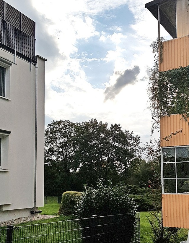 Wo jetzt  Bume sind, soll in zweiter ...n Mehrfamilienwohnhaus gebaut werden.   | Foto: Gerhard Walser