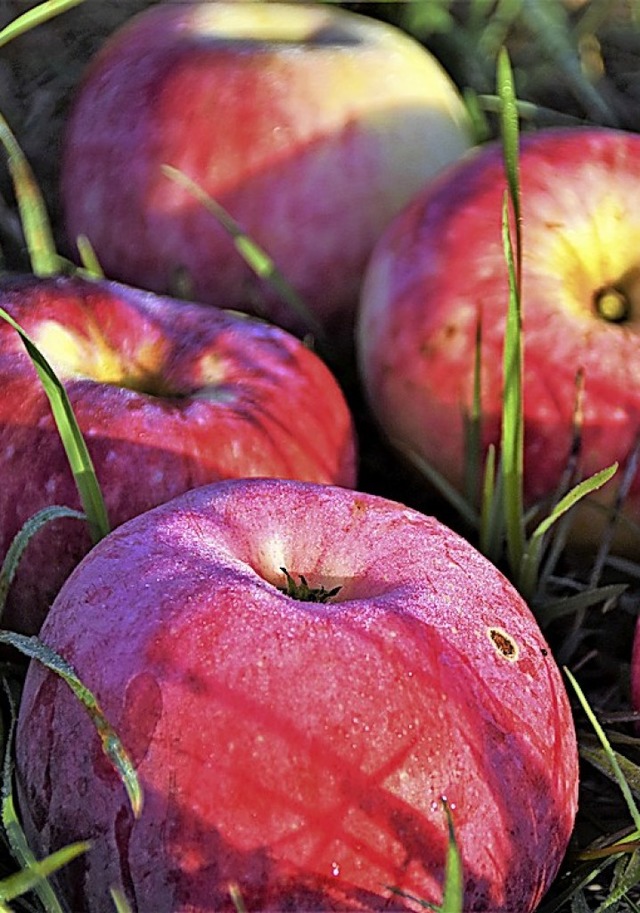 Frisches Obst ist wichtiger Teil einer ausgewogenen Ernhrung.  | Foto: Angelika Schmidt