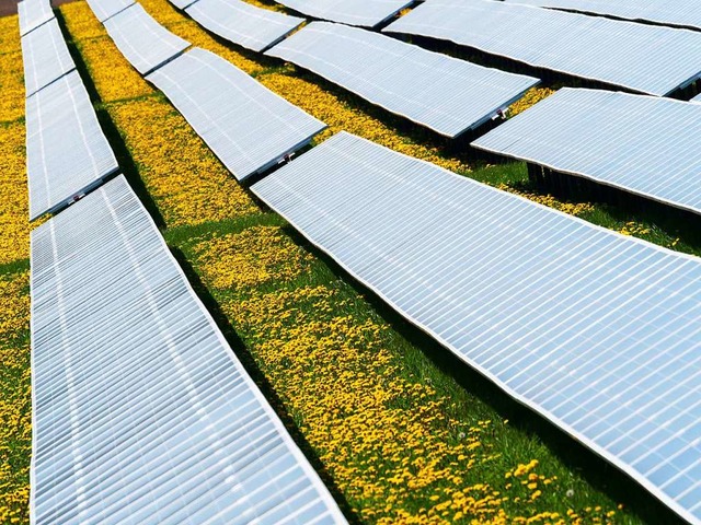 Die grte solarthermische Anlage Sdb...uf dem Heimschule-Campus (Symbolbild).  | Foto: Nicolas Armer