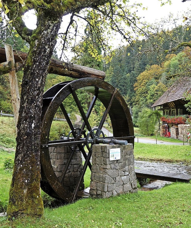 Das Brchauer Wasserrad bei der ehemal...sind seit 2011 im Besitz der Gemeinde.  | Foto: Gudrun Gehr