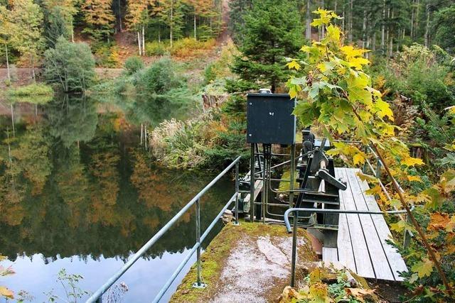 Verwaltungsgericht befasst sich mit dem Streit um das Wasserkraftwerk Wacht