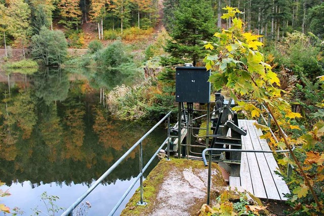 Das Wasserkraftwerk Wacht liegt an der...wurde hier  der kleine See aufgestaut.  | Foto: Manuel Hunn