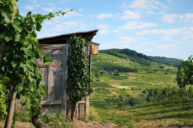 Wandern fr die Seele im Kaiserstuhl und im Breisgau