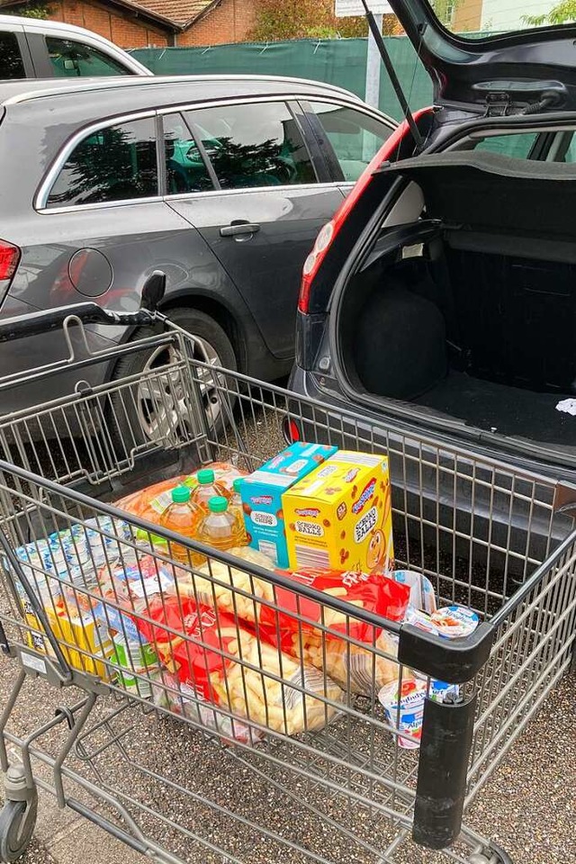 Hamsterkauf sieht anders aus: Einkaufs...or dem Aldi in Rheinfelden am Freitag.  | Foto: Dora Schls