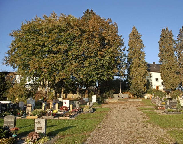 Entlang dieses Weges auf dem Friedhof in Minseln soll eine Allee entstehen.  | Foto: Petra Wunderle