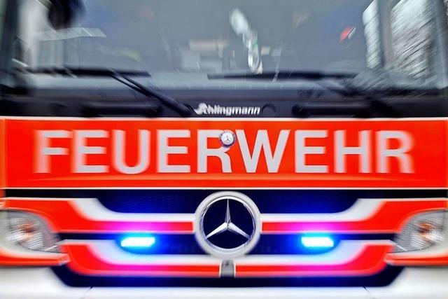 Bei einem Kellerbrand in Lrrach werden Personen per Drehleiter gerettet