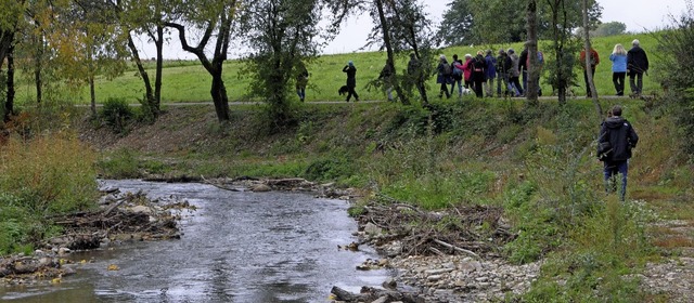 Die Herbstwanderung der IG Eimeldingen fhrte entlang der renaturierten Kander.  | Foto: Regine Ounas-Krusel