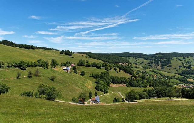 Die Offenhaltung der Landschaft, hier ...biet ein zentrales Thema (Archivbild).  | Foto: Patrick Seeger