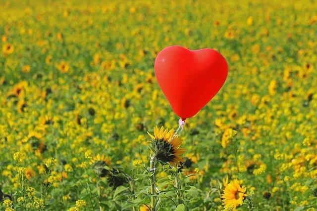 Liebesgru aus Teningen landet in Seefelder Blumenwiese