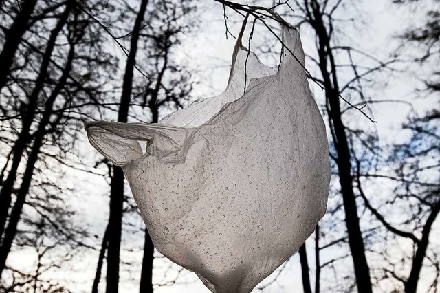 Mllsnder, die ihre Abflle in freier Natur entsorgen, bleiben oft unentdeckt.  | Foto: Patrick Pleul