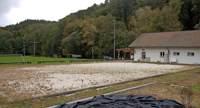 In Nieder-Eichsel gibt es den Sportpla... Einen reinen Bolzplatz gibt es nicht.  | Foto: Petra Wunderle