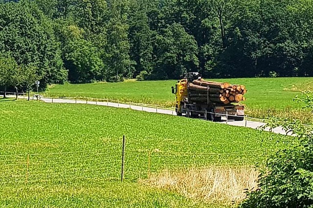 Ein Langholztransporter auf der Dietenbacher Strae  | Foto: Georg Zipfel