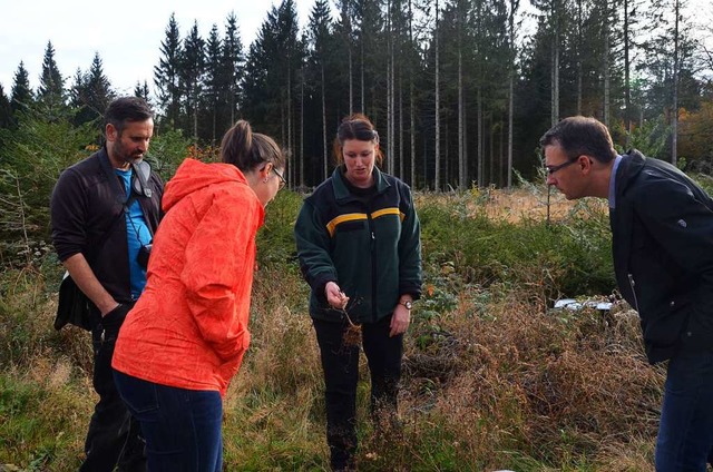 Franziska Gottstein zeigte Brgermeist...von Schdlingen befallenen jungen Baum  | Foto: Christiane Sahli