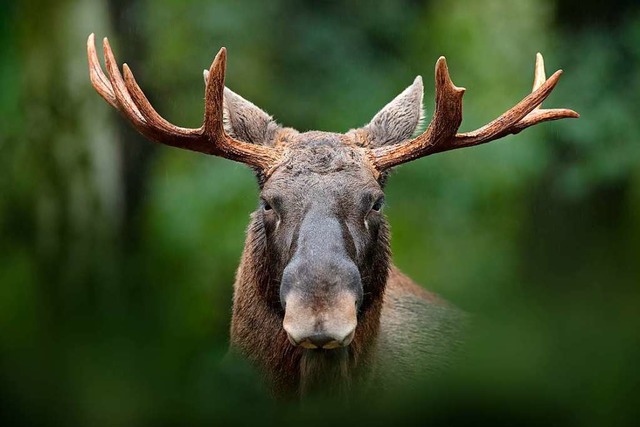 Den richtigen Weg eingeschlagen  | Foto: Ondrej Prosicky