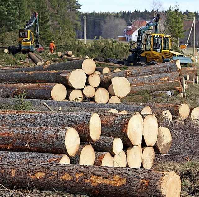 Der Rekordeinschlag  an Holz hat nicht zu Rekordeinnahmen  gefhrt.   | Foto: Gert Brichta