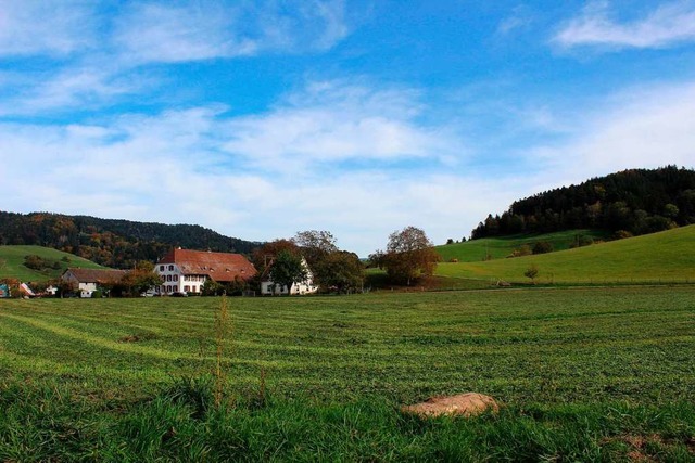 Der sdliche Teil des knftigen Neubaugebietes Nadelhof  | Foto: Erich Krieger