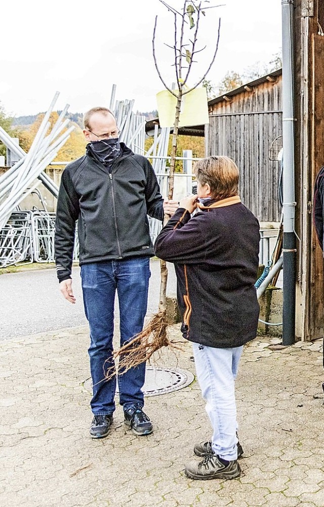 Eltern holten am Samstag  bei den Tech...ieben den Lebensbaum fr ihr Kind ab.   | Foto: Gabriele Zahn