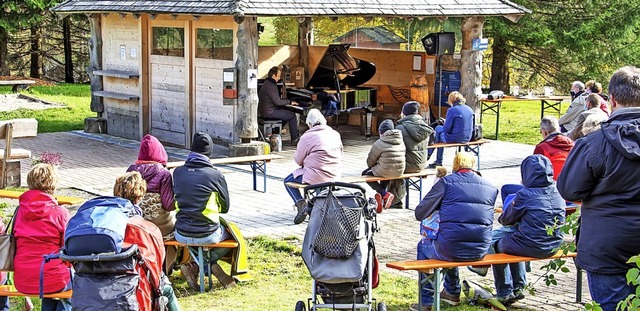 40 Gste waren bei dem  Klavierkonzert  am Grillplatz dabei.   | Foto: Paul Eischet