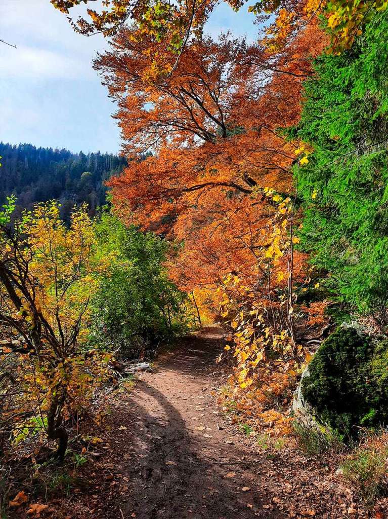 Farben tanken vor dem Frost: der Herbst im Hochschwarzwald