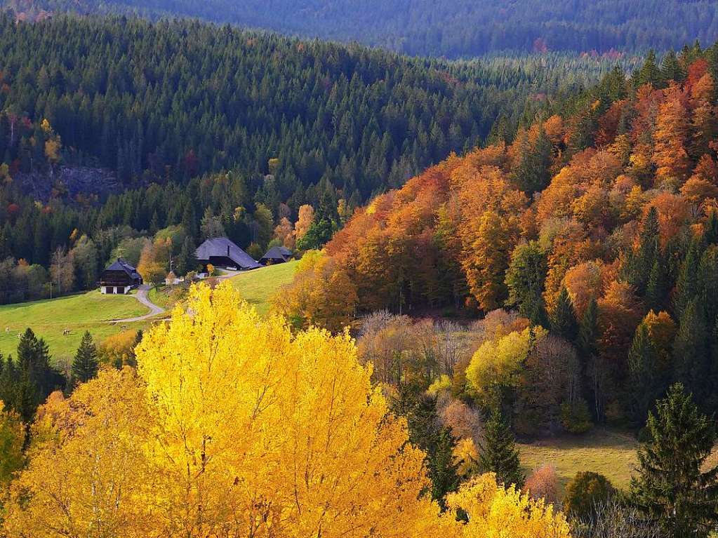 Farben tanken vor dem Frost: der Herbst im Hochschwarzwald