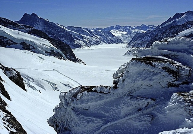 Blick vom Jungfraujoch  | Foto: Claudia Diemar