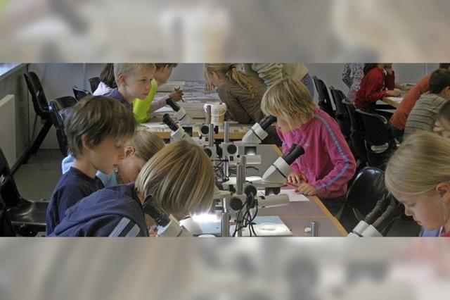 Das Grne Klassenzimmer macht Station in den Langen Erlen