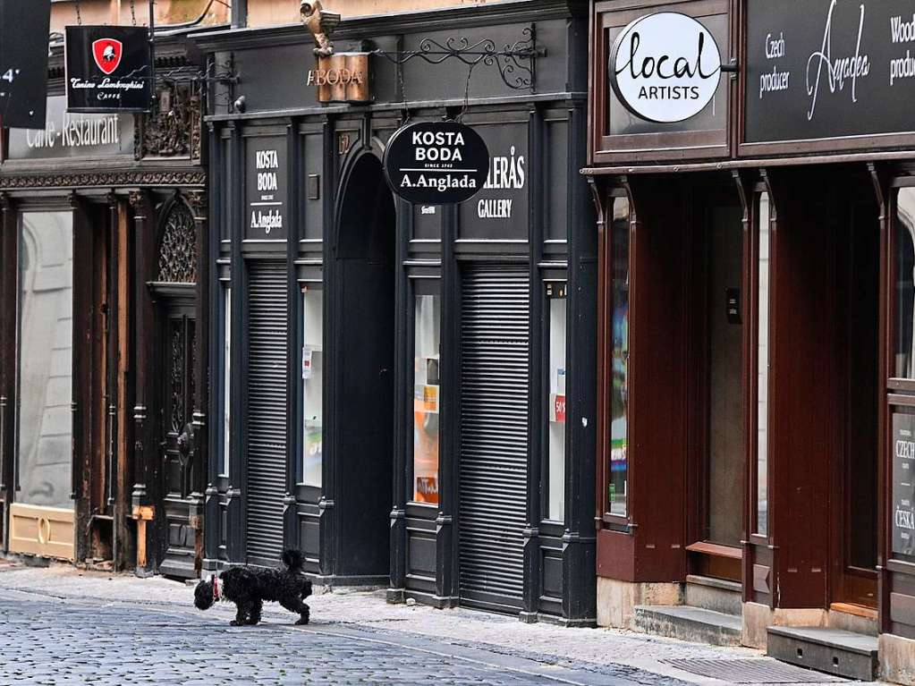 Ein Hund geht durch die fast menschenleere Prager Innenstadt.