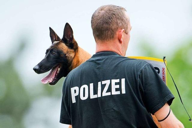 Polizeihund beißt 33-jährigen Mann in die Hand