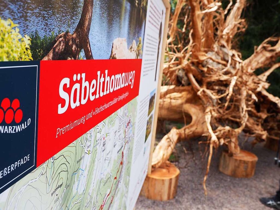 Auf Tafeln wird der Sbelthomaweg am S...zel im Hintergrund ist ein Hingucker.   | Foto: Susanne Gilg