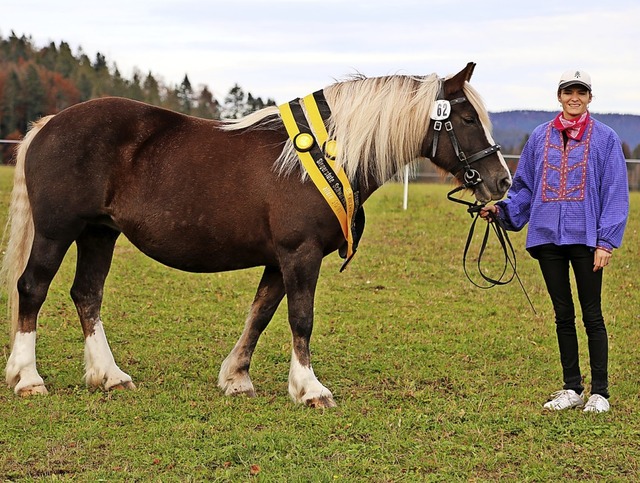 Stute &#8222;Donna Clara&#8220; im Bes...samtsiegerin der Verbandspferdeschau.   | Foto: Schwarzwlder Pferdezuchtgenossenschaft