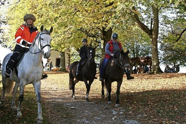 Reiter knnen wieder absatteln