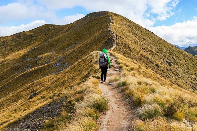 Der Fiordland-Nationalpark ist die spe... &#8211; und der abwechslungsreichste.  | Foto: naruedom  (stock.adobe.com)